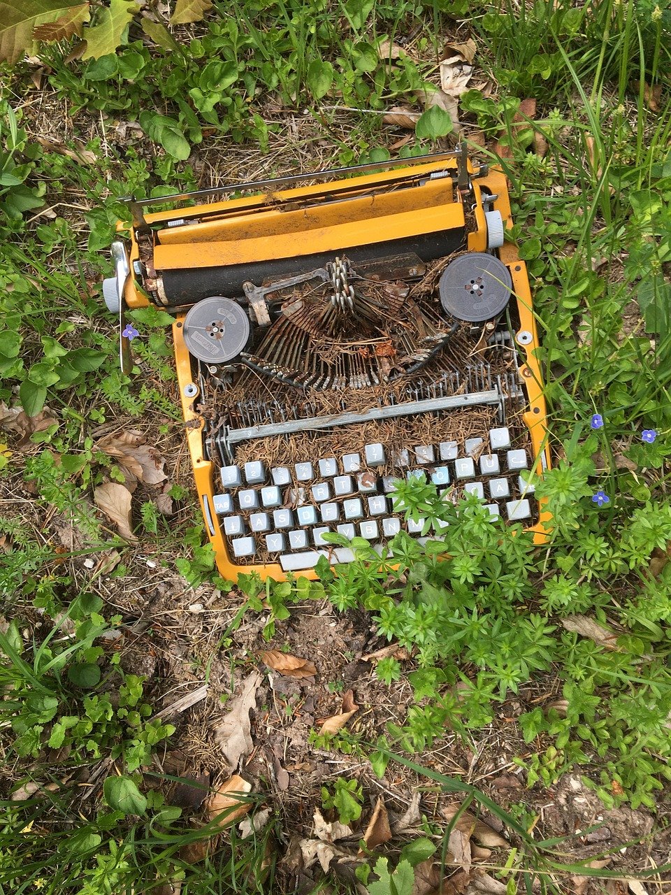 typewriter, garbage, cleanup-5204729.jpg